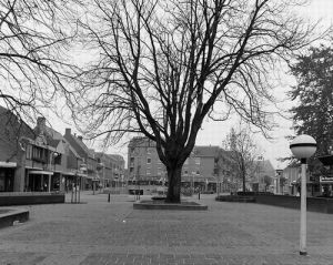 Martinetstraat met een van de twee kastanjebomen van de oude Sint-Henricus Ulo, november 1985.