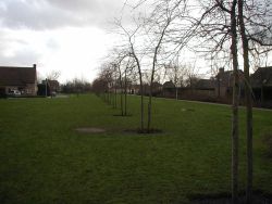 Markering van de Peelrandbreuk met een park en bomenrij in de wijk Heiakker