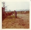 Marinus op de boerderij, jaren '70.